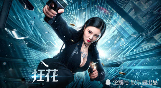 公证书图片